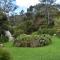 Atea Lodge - Coromandel