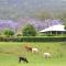 Canungra Valley Getaway - Canungra