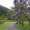 Canungra Valley Getaway - Canungra