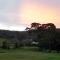 Canungra Valley Getaway - Canungra