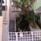 Residência Charme & Conforto, próxima do metro Vila Madalena