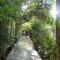 Sukhas Place