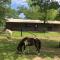 Farm Cottage on homestead 20 min to Waco - Waco