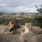 Kuzuko Lodge - Addo
