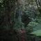 Taorayiná nature lodge- immersed in the forest - 埃尔扎伊诺