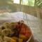 Taorayiná nature lodge- immersed in the forest - 埃尔扎伊诺