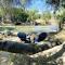 Sequoia Cabin by the River