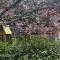 Kashikiri- Adelaide Hills Private Japanese Bath Retreat- pre-finished special