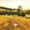 Oakchester Cottage on Bruny Island - Killora