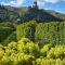 Weingut Gästehaus Bach - Cochem