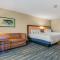 Hampton Inn & Suites Selma-San Antonio/Randolph AFB - Selma