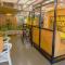 Hotel El Peñon by Bithotels