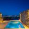 Mykonos Actor’s Villa. 2 BDRs, private mini-pool - Mykonos