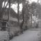 Nine Furlongs, Binsar Wildlife Sanctuary