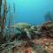 Ocean Lovers Hostel & Apartments