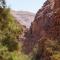 Adventure camping - Organized Trekking from Dana to Petra - Дана