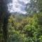 Kākā Ridge Retreat Bush Hideaway - Tawharanui