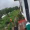 Retreat by Walias Entire Farm Pet-Friendly Sports