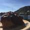 Ballstad Seaside View Lofoten