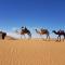 Erg Chigaga Camp Tours