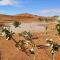 Erg Chigaga Camp Tours