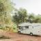 Unique Stay at Olive Camping