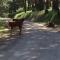 Sky Ranch Log Cabin with Amazing Views! - Wofford Heights