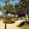 Hilltop Vineyard and Agave Field with View - Santa Ynez