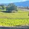 Hilltop Vineyard and Agave Field with View - Santa Ynez