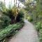 Katoomba Cottage