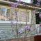 Katoomba Cottage