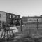 Abberley Shepherds Hut - Ockeridge Rural Retreats
