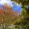 B&B La Fucinaia Pet Friendly Adults only