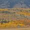Wapiti Retreat at 22 West Cabins and Recreation