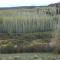 Wapiti Retreat at 22 West Cabins and Recreation
