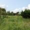 Rhydygroes - Lampeter