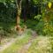 Hotel Parkside & Swimming Pool- Closer To Nature, Close To You