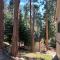 Sequoia National Forest CabinD - Panorama Heights