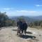 Sequoia National Forest CabinD - Panorama Heights