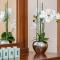 Casa do Palheiro Ribeirinho by Rent-a-key