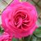 Le Chai De La Rose SPA et Séances Bien être