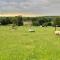 Moo Cow Cottage Self Catering