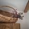 Butina Guesthouse