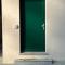 Green Door 1974