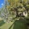 Luxus Golf Apartment