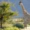 Bradbury Game Lodge and Function Venue - Polokwane