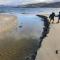 Peaceful Bruny Island Shack - Dennes Point