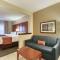 Comfort Suites Appleton Airport - Appleton