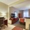 Comfort Suites Appleton Airport - Appleton