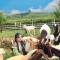 O Châu Homestay Lào Cai
